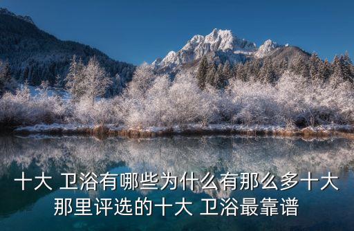 十大 衛(wèi)浴有哪些為什么有那么多十大那里評選的十大 衛(wèi)浴最靠譜