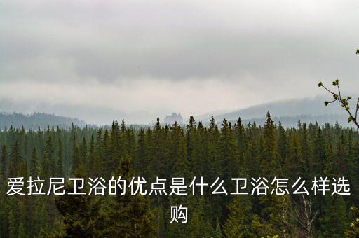 愛拉尼衛(wèi)浴的優(yōu)點是什么衛(wèi)浴怎么樣選購
