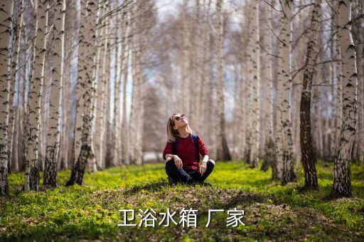 衛(wèi)浴水箱 廠家