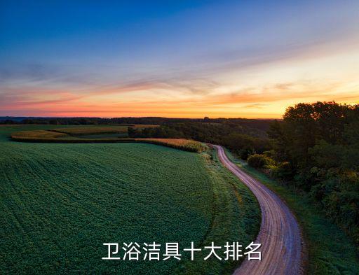  衛(wèi)浴潔具十大排名