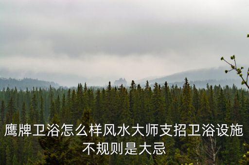 鷹牌衛(wèi)浴怎么樣風水大師支招衛(wèi)浴設施不規(guī)則是大忌