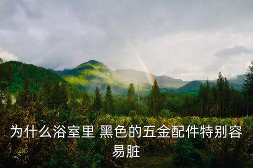 為什么浴室里 黑色的五金配件特別容易臟