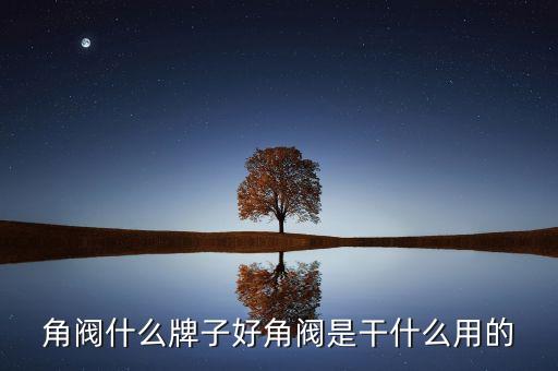 馬來西亞衛(wèi)浴品牌
