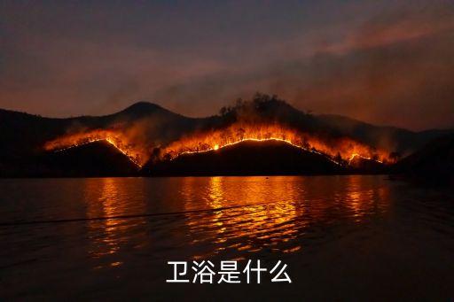  衛(wèi)浴是什么