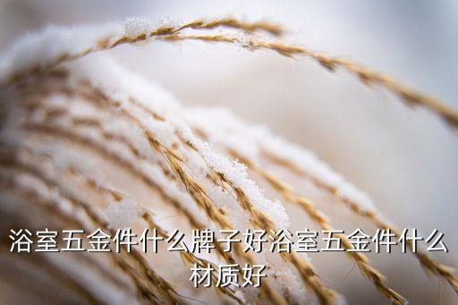 浴室五金件什么牌子好浴室五金件什么材質(zhì)好