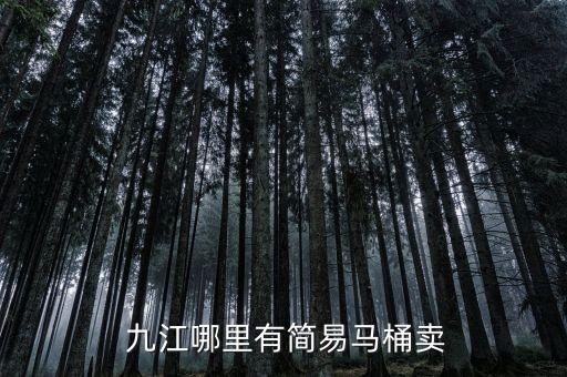  九江哪里有簡(jiǎn)易馬桶賣