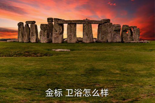 金標(biāo) 衛(wèi)浴怎么樣
