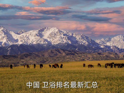長樂品牌衛(wèi)浴代理報價表