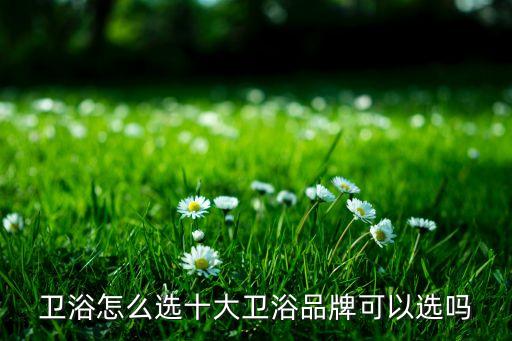 衛(wèi)浴怎么選十大衛(wèi)浴品牌可以選嗎