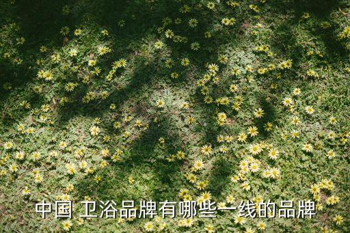 中國(guó) 衛(wèi)浴品牌有哪些一線的品牌