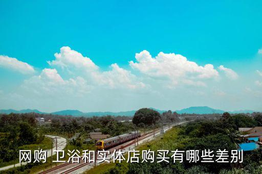 網(wǎng)購(gòu) 衛(wèi)浴和實(shí)體店購(gòu)買有哪些差別