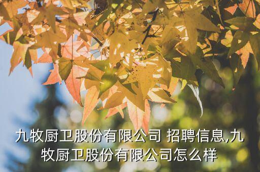 九牧廚衛(wèi)股份有限公司 招聘信息,九牧廚衛(wèi)股份有限公司怎么樣