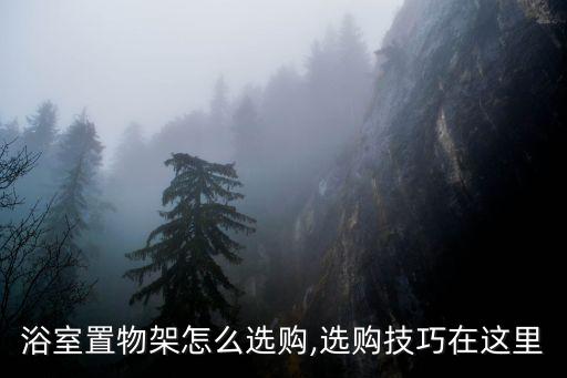 衛(wèi)浴懸掛支撐圖片大全大圖