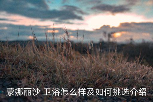 蒙娜麗沙 衛(wèi)浴怎么樣及如何挑選介紹