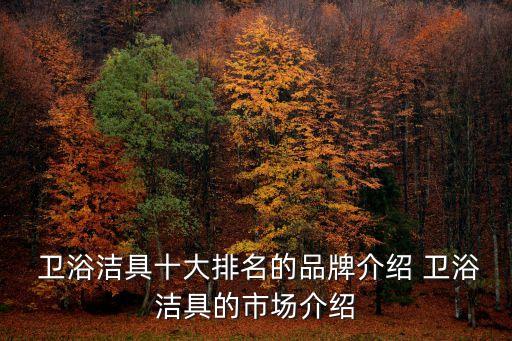  衛(wèi)浴潔具十大排名的品牌介紹 衛(wèi)浴潔具的市場介紹
