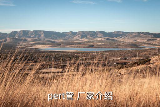 pert管 廠家介紹