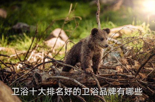 衛(wèi)浴十大排名好的衛(wèi)浴品牌有哪些
