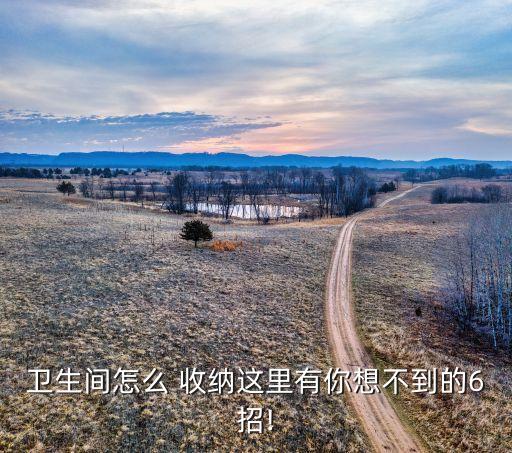 衛(wèi)生間怎么 收納這里有你想不到的6招!