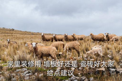 美式衛(wèi)浴護(hù)墻板瓷磚圖片