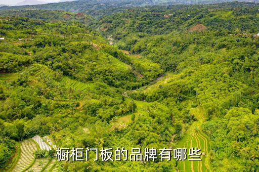 櫥柜門板的品牌有哪些