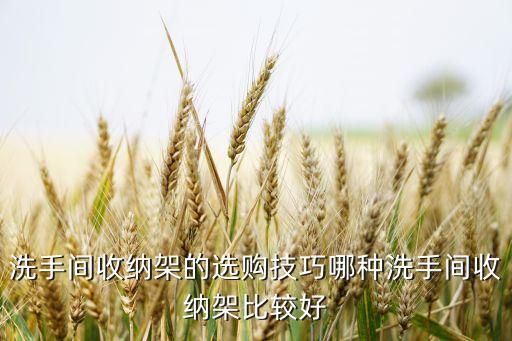 衛(wèi)生間超長衛(wèi)浴鏡柜圖片