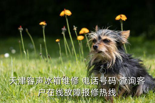 天津容聲冰箱維修 電話號碼 查詢客戶在線故障報修熱線