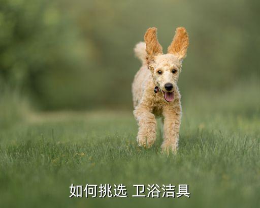 如何挑選 衛(wèi)浴潔具
