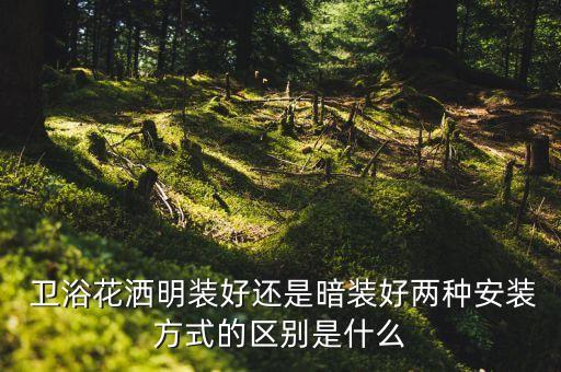  衛(wèi)浴花灑明裝好還是暗裝好兩種安裝方式的區(qū)別是什么