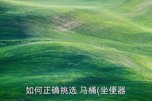 馬桶大個衛(wèi)浴好不好呢圖片,BTO衛(wèi)浴馬桶質(zhì)量好不好