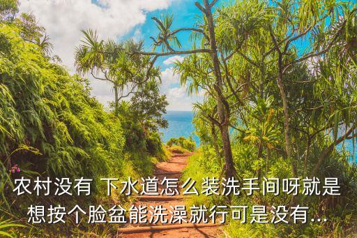 農(nóng)村沒有 下水道怎么裝洗手間呀就是想按個臉盆能洗澡就行可是沒有...