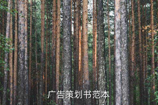 廣告策劃書范本