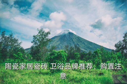 衛(wèi)浴家具名稱大全圖片,衛(wèi)浴配件名稱及圖片