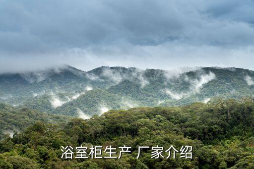 浴室柜生產(chǎn) 廠家介紹