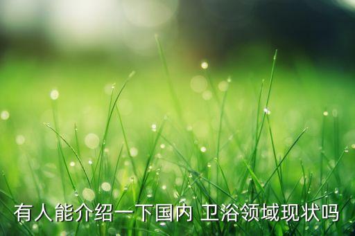 有人能介紹一下國(guó)內(nèi) 衛(wèi)浴領(lǐng)域現(xiàn)狀嗎
