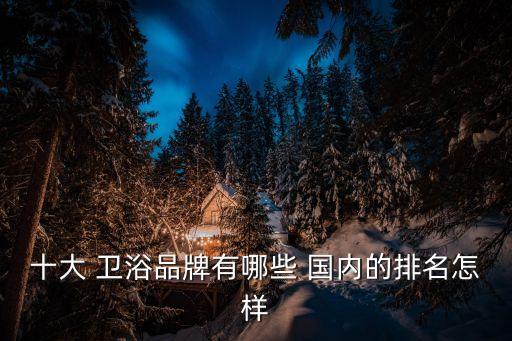 十大 衛(wèi)浴品牌有哪些 國(guó)內(nèi)的排名怎樣