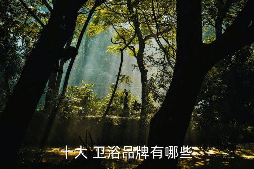 十大 衛(wèi)浴品牌有哪些