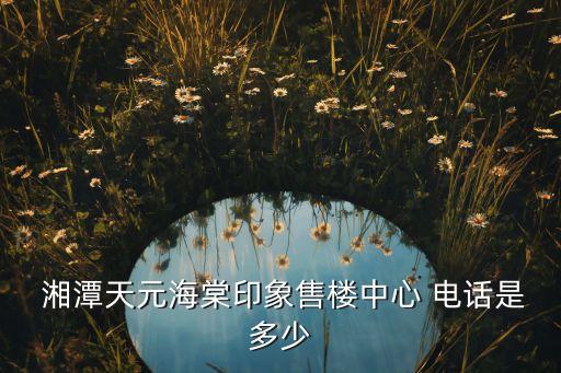  湘潭天元海棠印象售樓中心 電話是多少