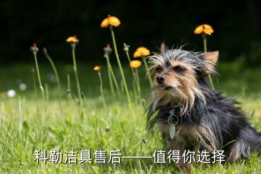 科勒潔具售后——值得你選擇