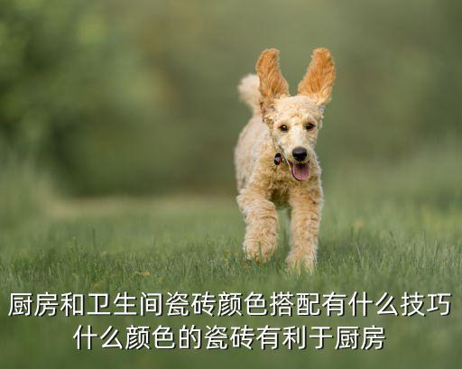 廚房和衛(wèi)生間瓷磚顏色搭配有什么技巧什么顏色的瓷磚有利于廚房