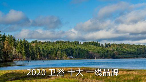 2020 衛(wèi)浴 十大 一線品牌