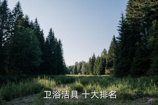  衛(wèi)浴潔具 十大排名