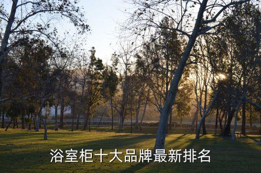 浴室柜十大品牌最新排名