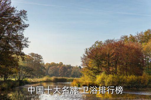 中國十大名牌 衛(wèi)浴排行榜