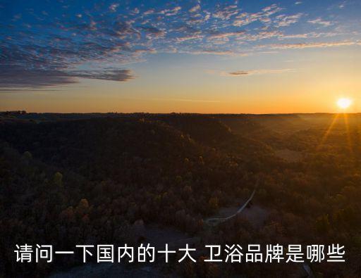 國(guó)產(chǎn)衛(wèi)浴品牌營(yíng)銷公司排行