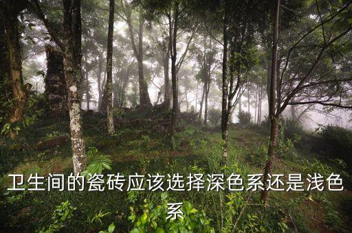 衛(wèi)生間的瓷磚應(yīng)該選擇深色系還是淺色系