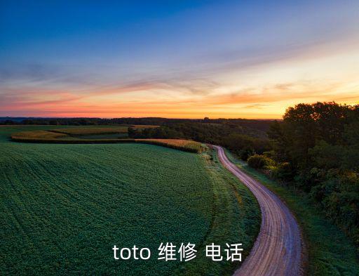 toto 維修 電話