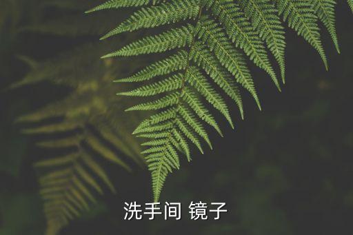 衛(wèi)浴鏡子半圓圖片尺寸大全