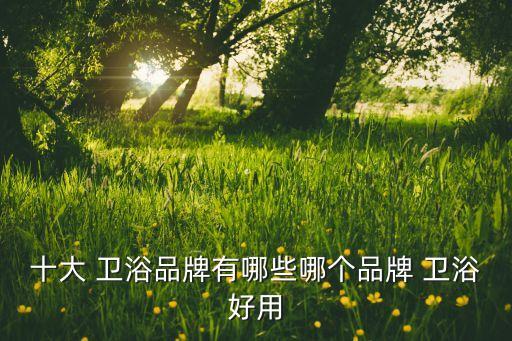 十大 衛(wèi)浴品牌有哪些哪個品牌 衛(wèi)浴好用