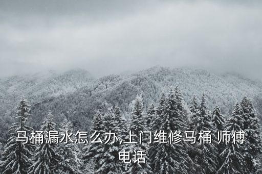 馬桶漏水怎么辦,上門維修馬桶 師傅 電話