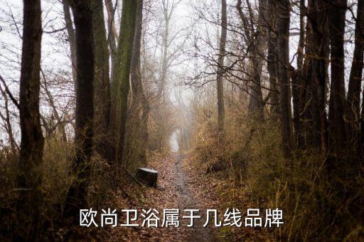 tt歐尚衛(wèi)浴屬于幾線品牌